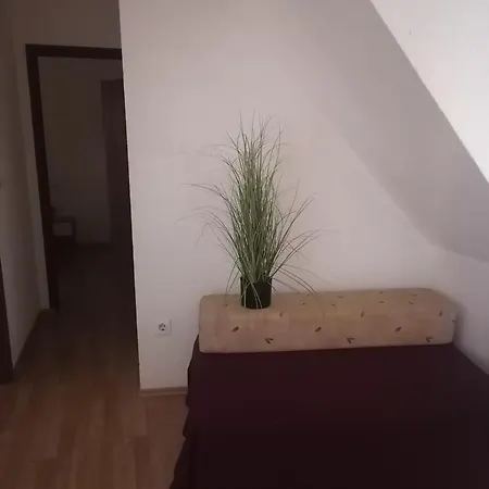 Bodrozic